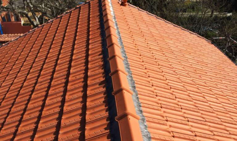 nettoyage-tuiles-demoussage-sl-couverture-marseille
